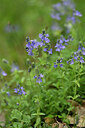 BUITEN BEELD Foto: 440447