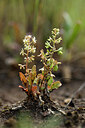 BUITEN BEELD Foto: 440461