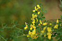 BUITEN BEELD Foto: 440464