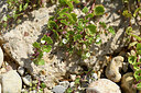 BUITEN BEELD Foto: 440466