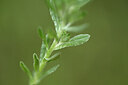BUITEN BEELD Foto: 440467