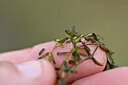 BUITEN BEELD Foto: 440469