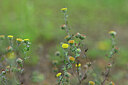 BUITEN BEELD Foto: 440470