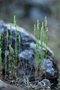 BUITEN BEELD Foto: 440473