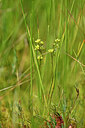 BUITEN BEELD Foto: 440476