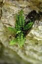 BUITEN BEELD Foto: 440478
