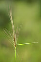 BUITEN BEELD Foto: 440480