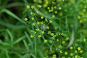 BUITEN BEELD Foto: 440483