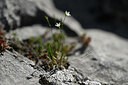 BUITEN BEELD Foto: 440488