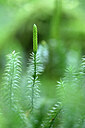BUITEN BEELD Foto: 440493