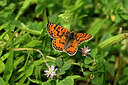 BUITEN BEELD Foto: 440496