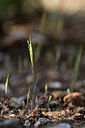BUITEN BEELD Foto: 440498