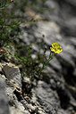 BUITEN BEELD Foto: 440501