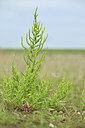 BUITEN BEELD Foto: 440502