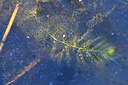 BUITEN BEELD Foto: 440515