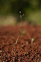 BUITEN BEELD Foto: 440518