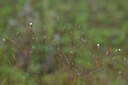 BUITEN BEELD Foto: 440519