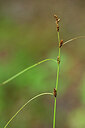 BUITEN BEELD Foto: 440521