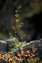 BUITEN BEELD Foto: 440523