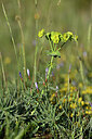 BUITEN BEELD Foto: 440531