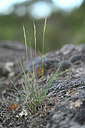 BUITEN BEELD Foto: 440532