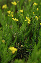 BUITEN BEELD Foto: 440540