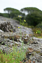 BUITEN BEELD Foto: 440543