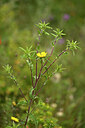 BUITEN BEELD Foto: 440547