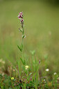 BUITEN BEELD Foto: 440549