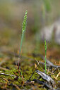 BUITEN BEELD Foto: 440551