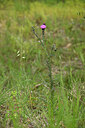 BUITEN BEELD Foto: 440553