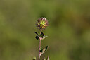 BUITEN BEELD Foto: 440554