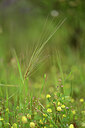 BUITEN BEELD Foto: 440557