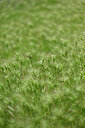 BUITEN BEELD Foto: 440561