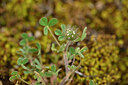 BUITEN BEELD Foto: 440562