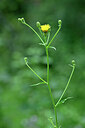 BUITEN BEELD Foto: 440563