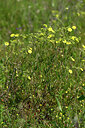 BUITEN BEELD Foto: 440564