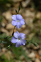 BUITEN BEELD Foto: 440565