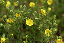 BUITEN BEELD Foto: 440571