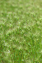 BUITEN BEELD Foto: 440573