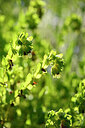 BUITEN BEELD Foto: 440574