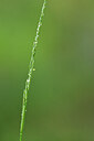 BUITEN BEELD Foto: 440575