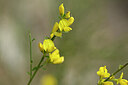 BUITEN BEELD Foto: 440581
