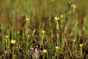 BUITEN BEELD Foto: 440584