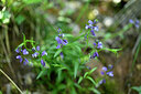 BUITEN BEELD Foto: 440586