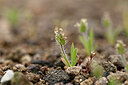 BUITEN BEELD Foto: 440591