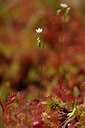 BUITEN BEELD Foto: 440594