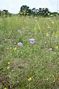 BUITEN BEELD Foto: 440595