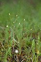 BUITEN BEELD Foto: 440597