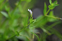 BUITEN BEELD Foto: 440598